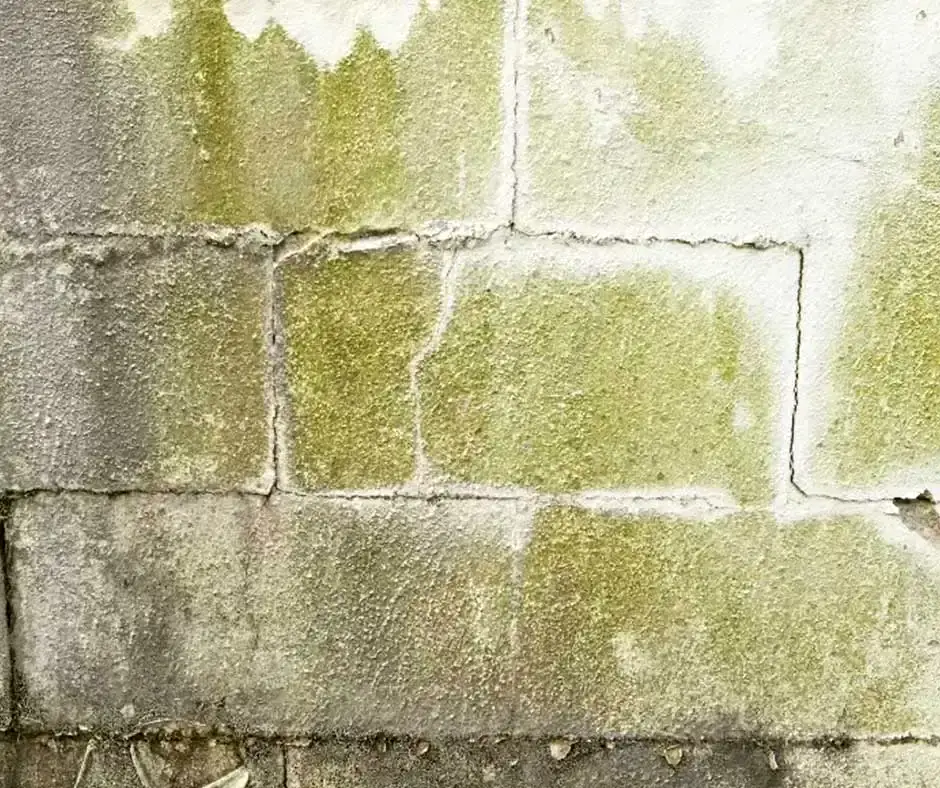 Extensive Basement Crack Repair in Portland, OR